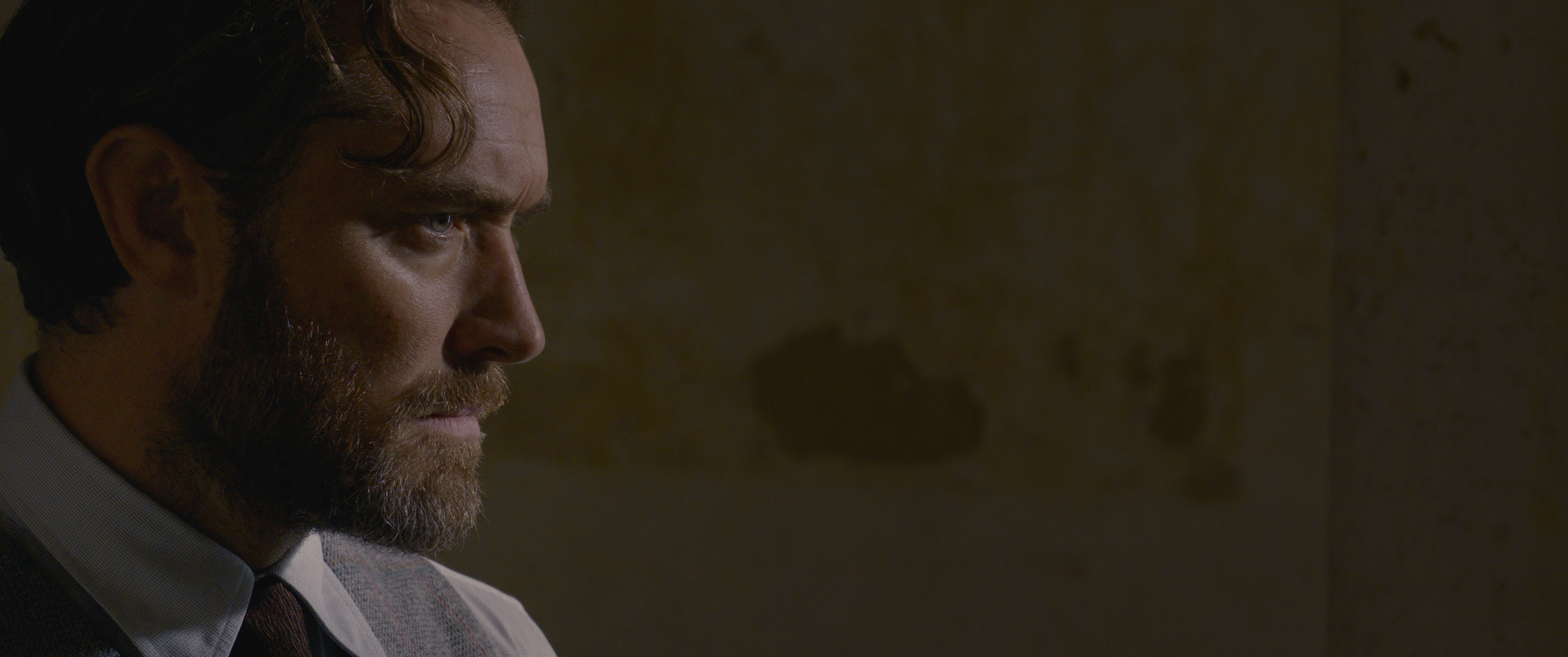 Fantastic Beasts: The Crimes of Grindelwald