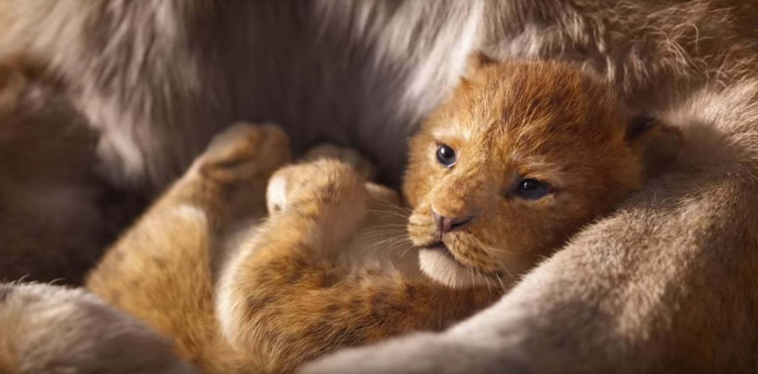 The Lion King